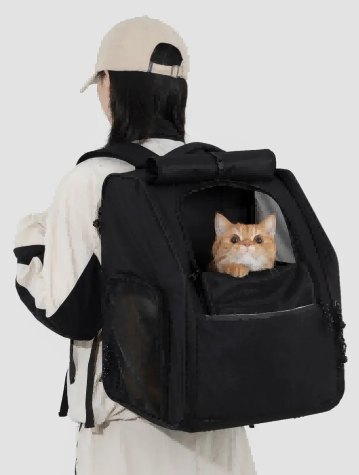 First Class Cat Backpack view 2