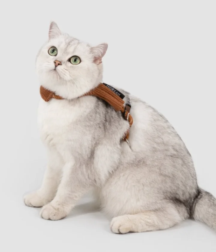 Plush Cat Harness & Leash Set view 6