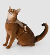Plush Cat Harness & Leash Set view 2