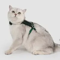 Plush Cat Harness & Leash Set view 4