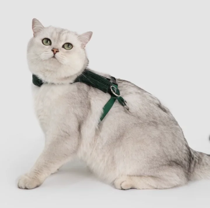Plush Cat Harness & Leash Set view 4