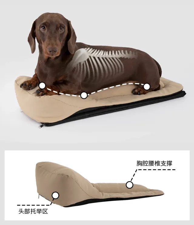 Baguette Pet Outdoor Backpack