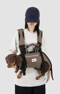 Pet Spine-Protect Backpack (Ice Silk) view 5