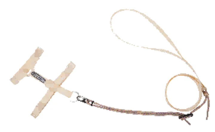 Free Explore Cat Harness & Leash Set view 1