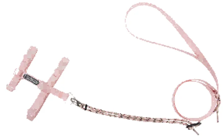 Free Explore Cat Harness & Leash Set view 5