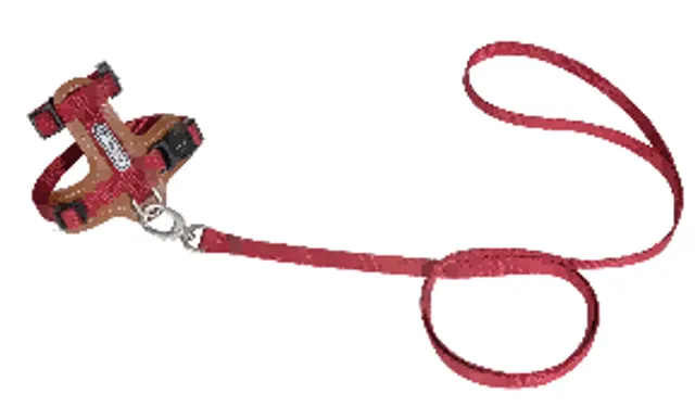 Leather Cat Harness & Leash Set