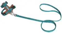 Leather Cat Harness & Leash Set view 3