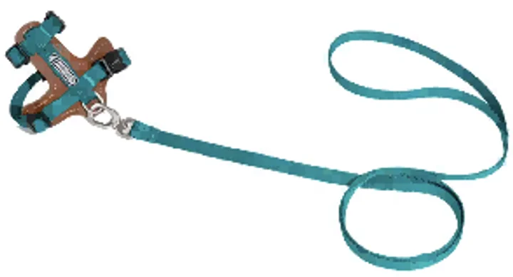 Leather Cat Harness & Leash Set view 3