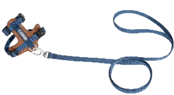Leather Cat Harness & Leash Set view 5
