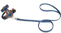 Leather Cat Harness & Leash Set view 5