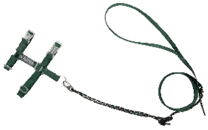 Free Explore Cat Harness & Leash Set view 7