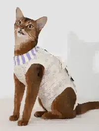 Cat Escape-Proof Recovery Suit view 4