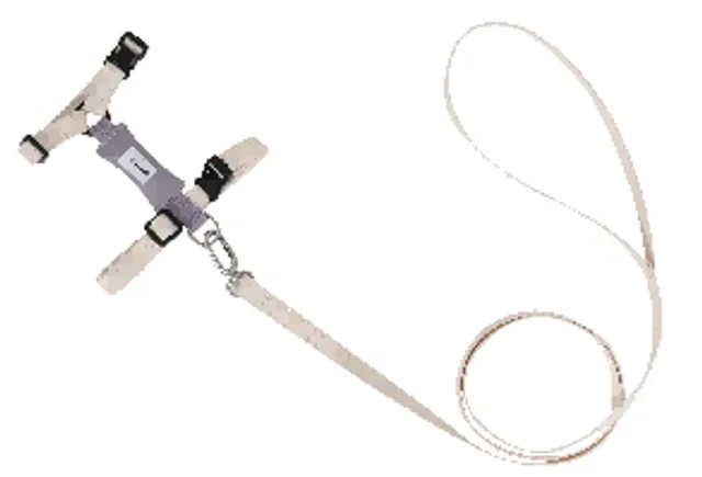 Valley H-Harness Cat Harness & Leash Set