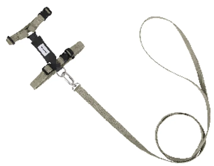 Valley H-Harness Cat Harness & Leash Set view 3
