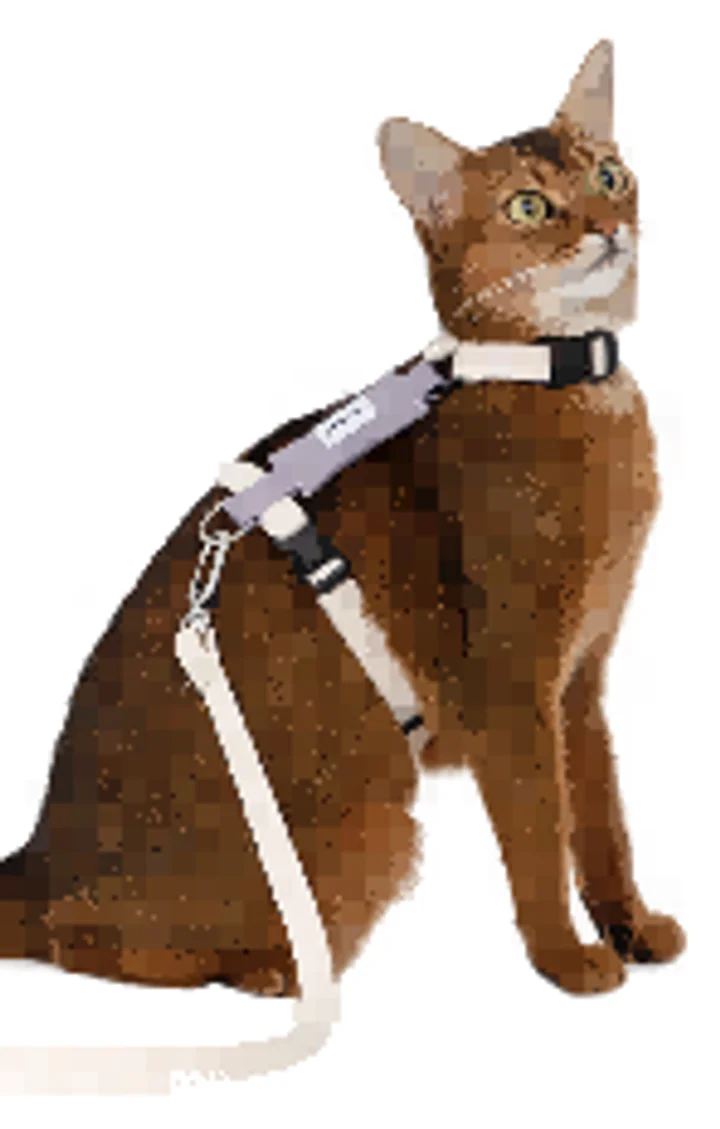 Valley H-Harness Cat Harness & Leash Set view 2