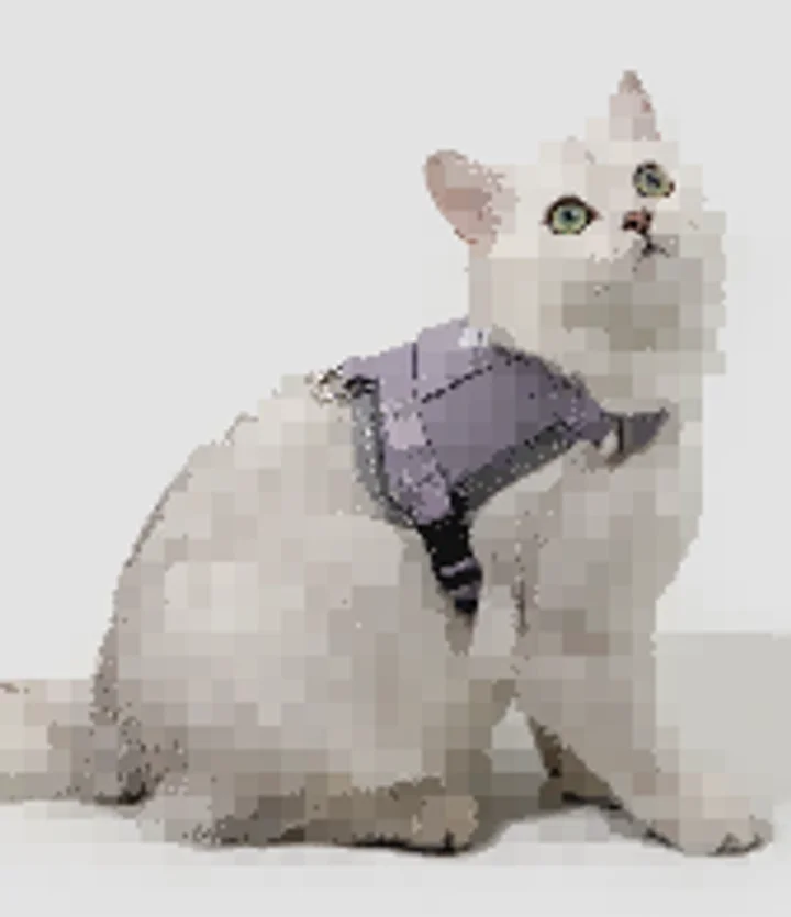 Valley Vest Cat Harness & Leash Set view 8