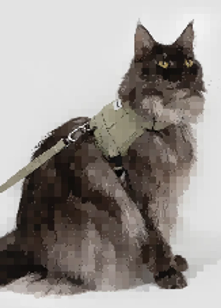 Valley Vest Cat Harness & Leash Set view 6