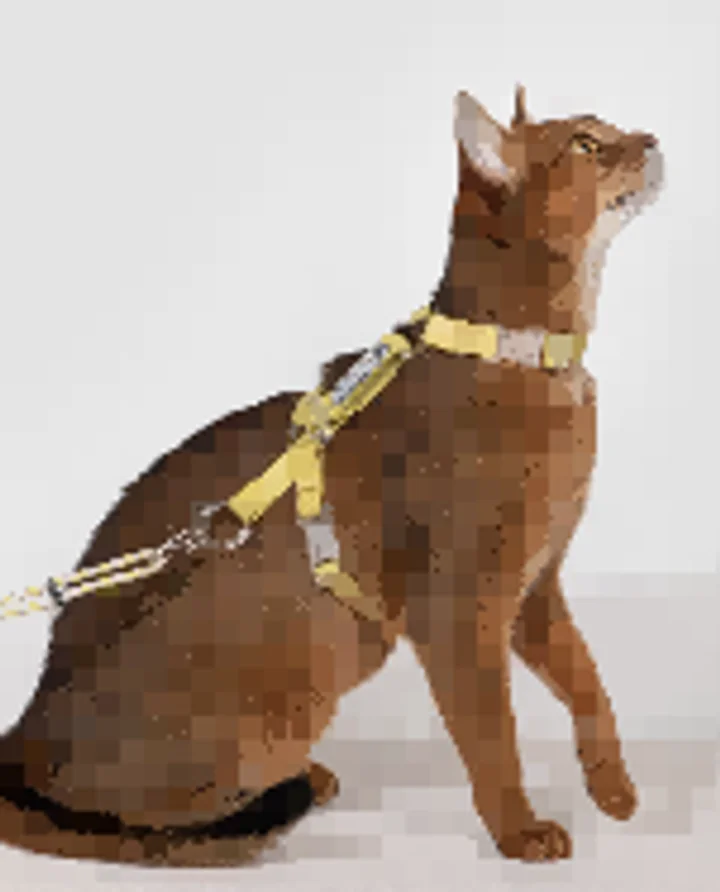 Free Explore Cat Harness & Leash Set view 4