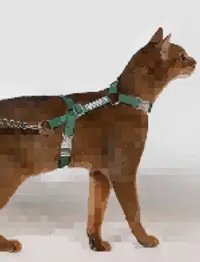 Free Explore Cat Harness & Leash Set view 8