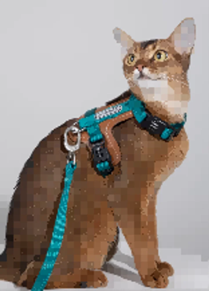 Leather Cat Harness & Leash Set view 4