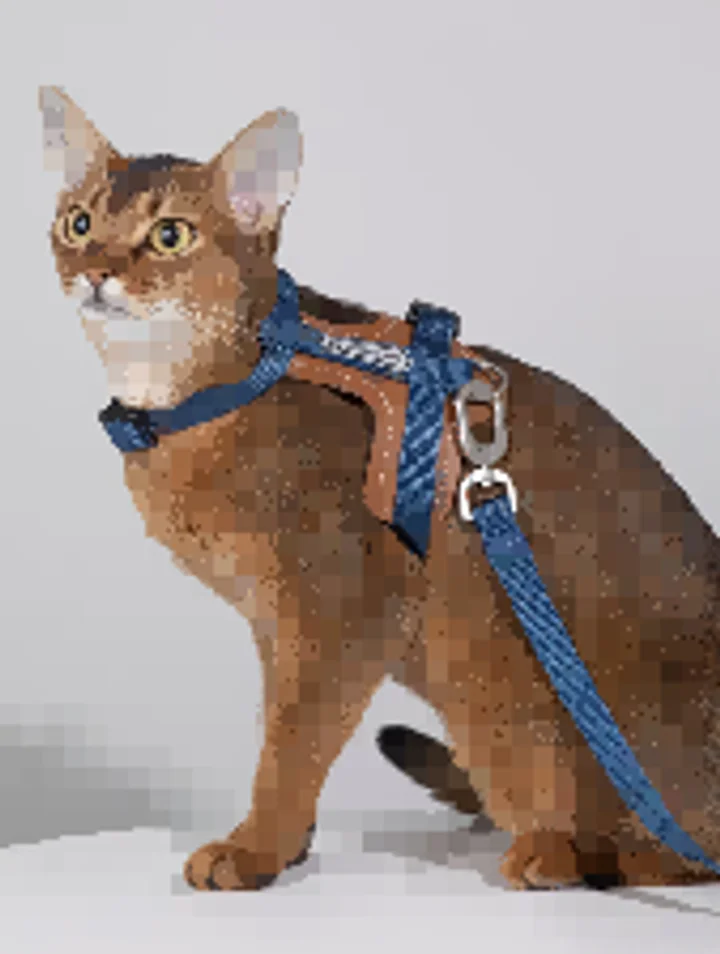 Leather Cat Harness & Leash Set view 6