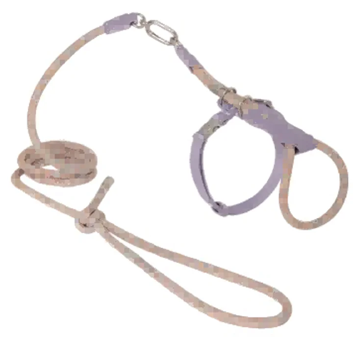 Leather Round Rope Cat Harness & Leash Set view 7