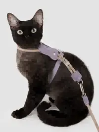Leather Round Rope Cat Harness & Leash Set view 8