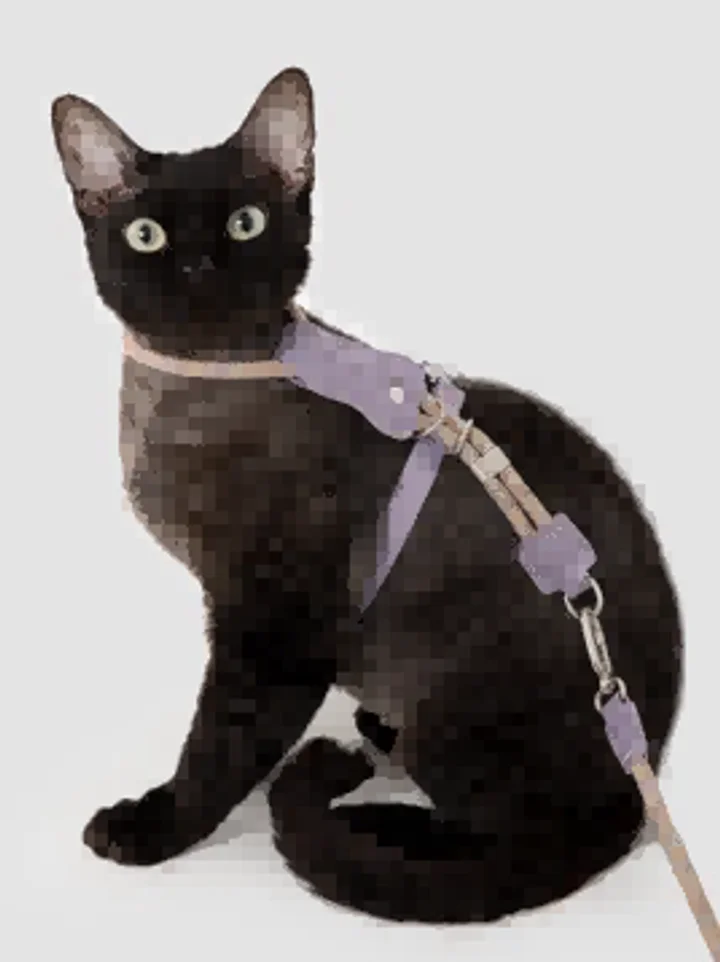 Leather Round Rope Cat Harness & Leash Set view 8