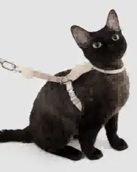 Leather Round Rope Cat Harness & Leash Set view 2