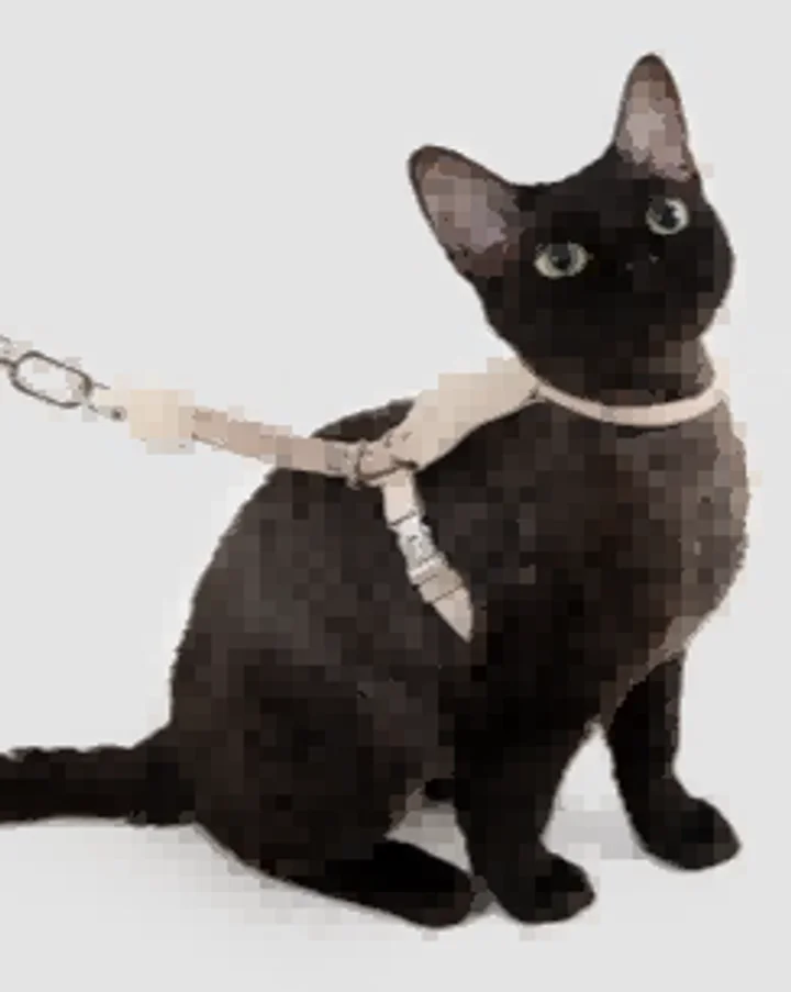 Leather Round Rope Cat Harness & Leash Set view 2