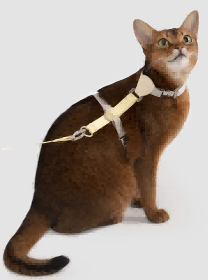 Leather Color Block Cat Harness & Leash Set view 3