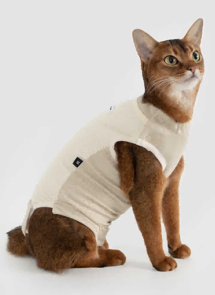 Color Block Cat Recovery Suit view 4