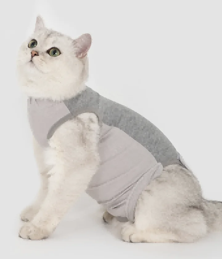Color Block Cat Recovery Suit view 2