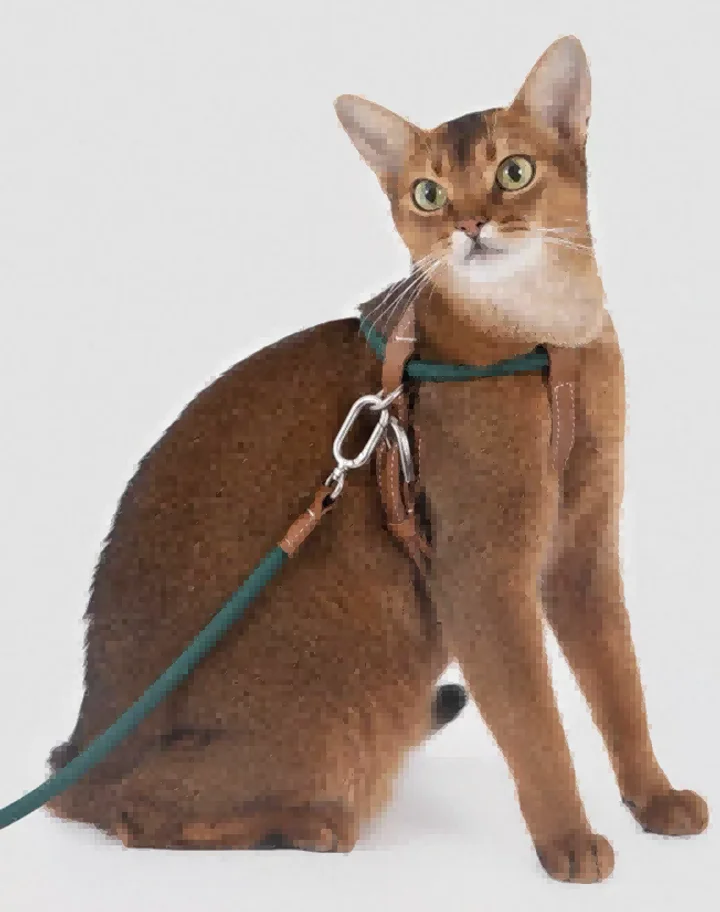 Active Trail Cat Harness & Leash Set view 3
