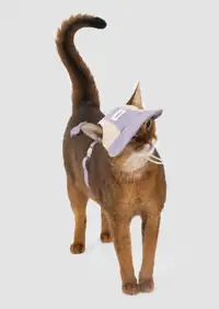 Pet Lightweight Sun Hat view 3