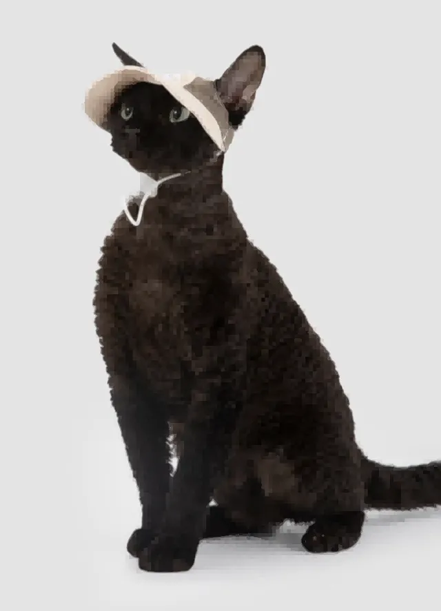Pet Lightweight Sun Hat
