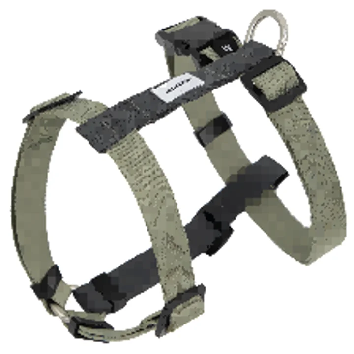 Valley Series - Dog H-Harness & Leash Set view 3