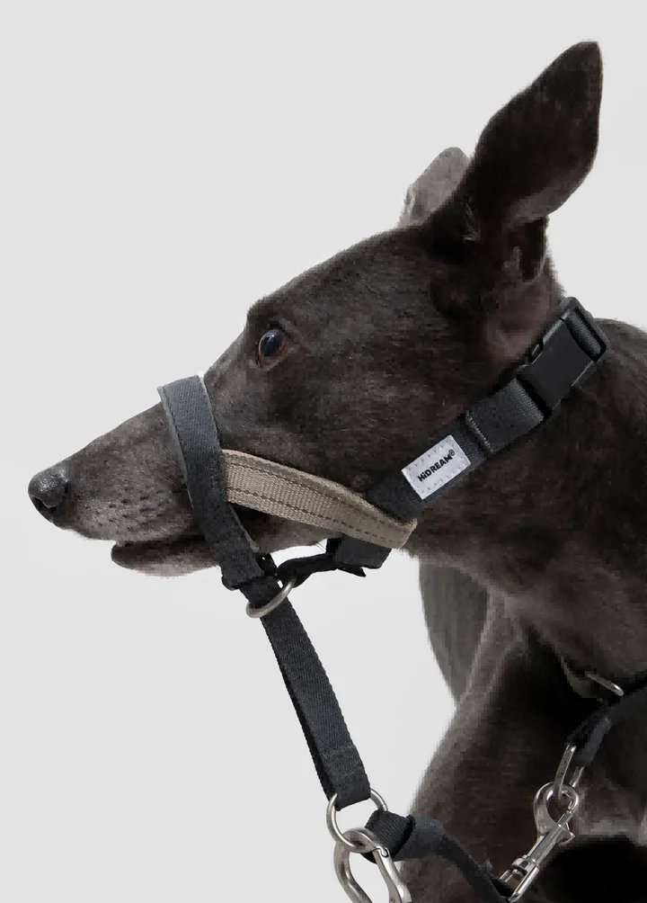 Valley Series - Anti-Pull Training Guide Head Collar view 1