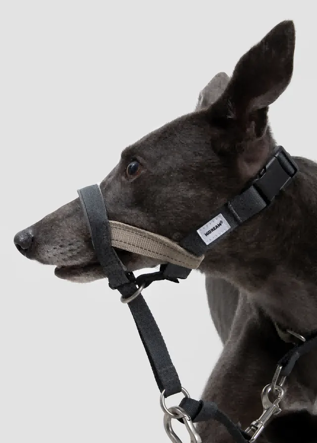 Valley Series - Anti-Pull Training Guide Head Collar
