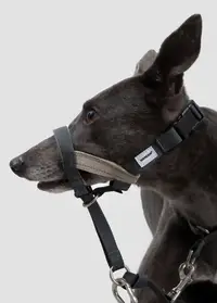 Valley Series - Anti-Pull Training Guide Head Collar view 1