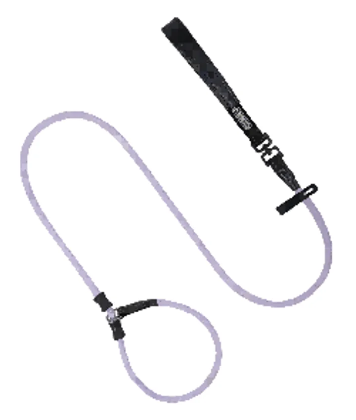 Bobo Series - Leather Handle Integrated Training Thick P-Leash view 1