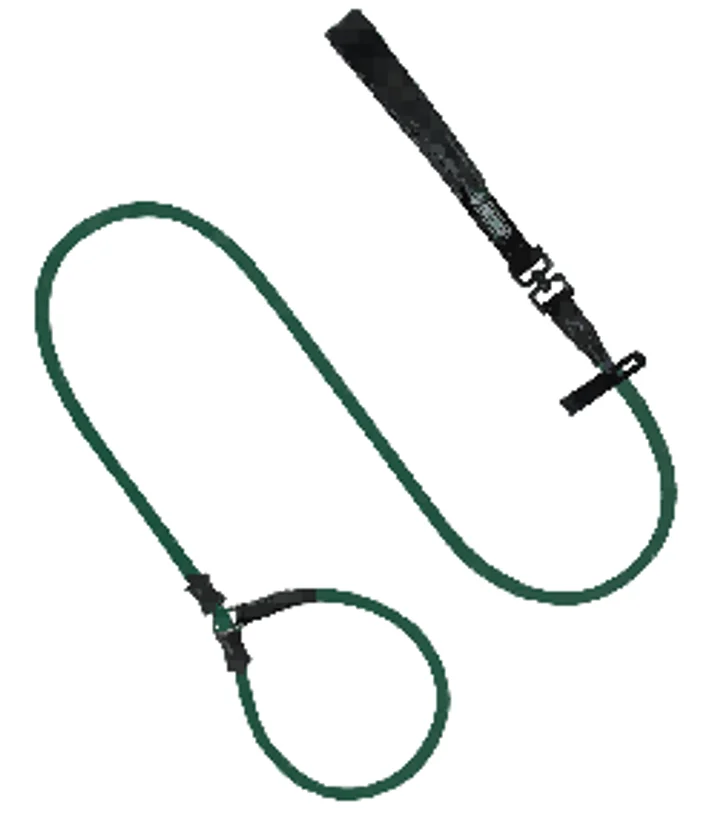 Bobo Series - Leather Handle Integrated Training Thick P-Leash view 2