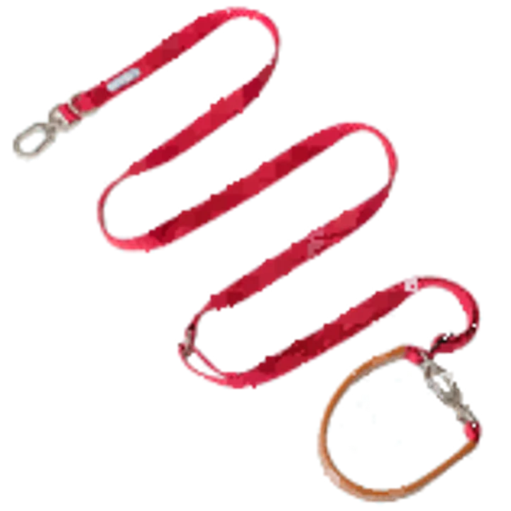Bobo Series - Multi-Function Crossbody Leash view 1