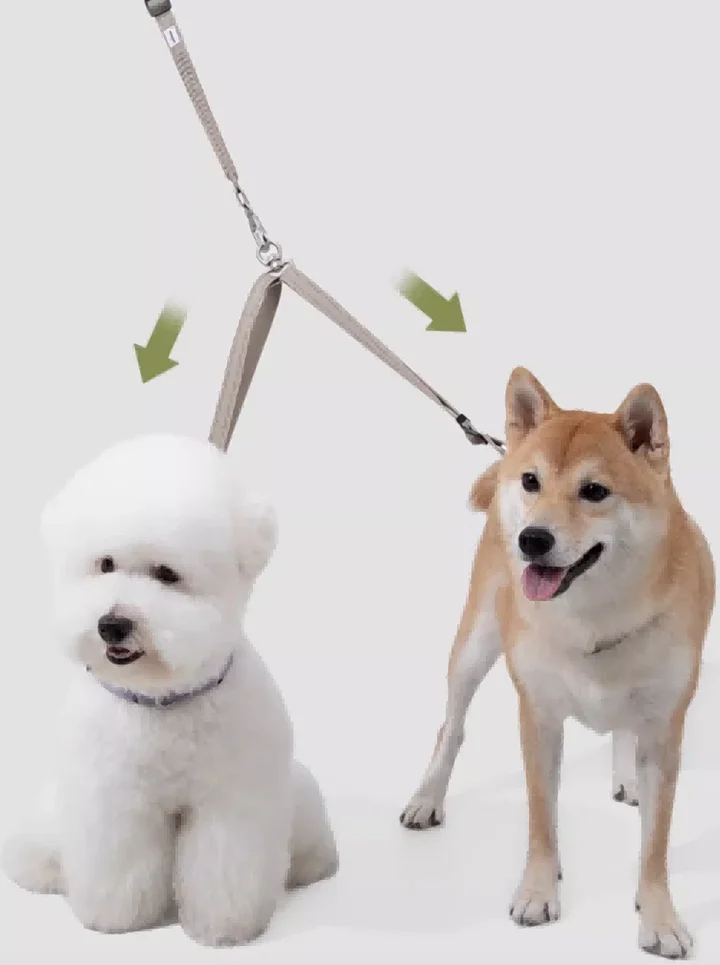 Valley Series - Multi-Function Leash & Accessories view 4