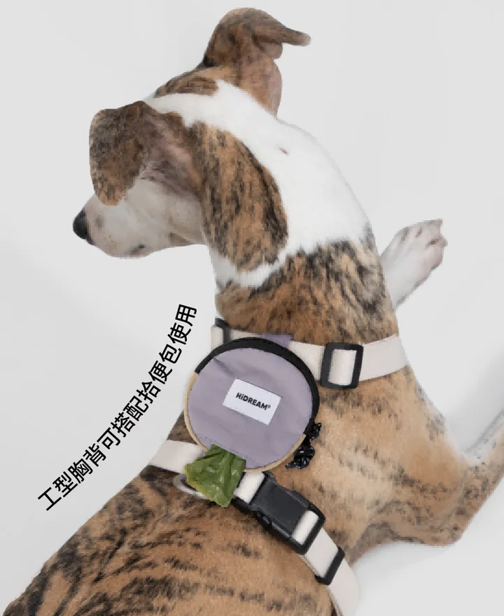 Valley Series - Dog H-Harness & Leash Set view 4