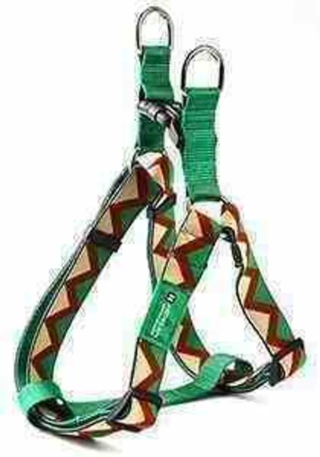 Rainbow Series - Y-Harness
