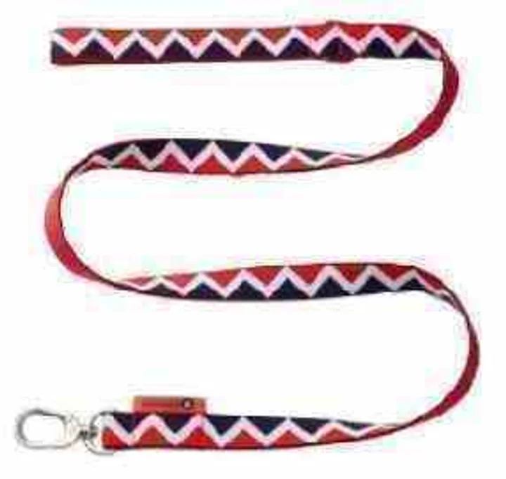 Rainbow Series - Leash view 1