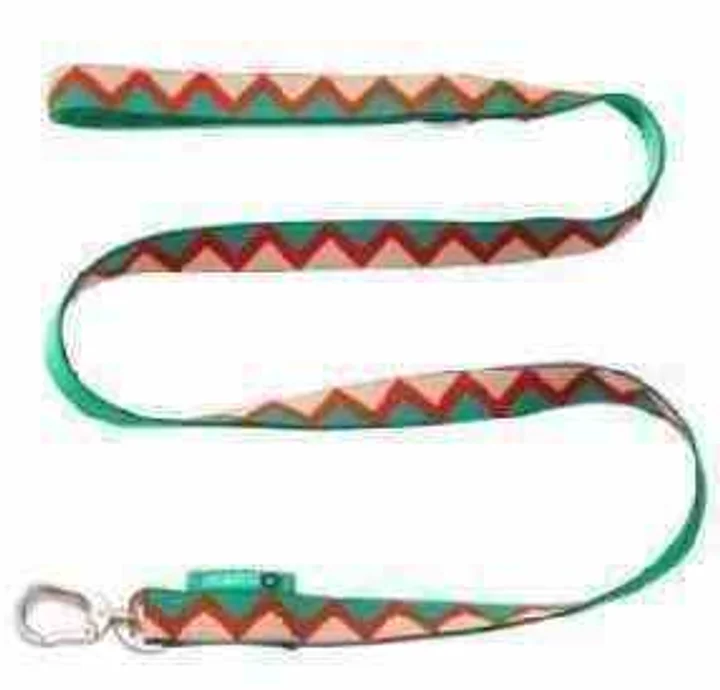 Rainbow Series - Leash view 3
