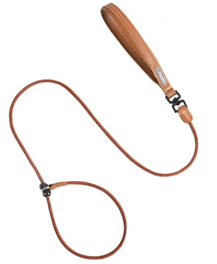 Bobo Series - Leather Handle Integrated P-Leash view 3