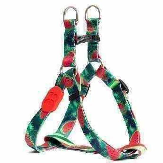 Colorful Series - Y-Harness